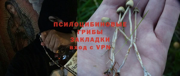 прущие крисы Алзамай
