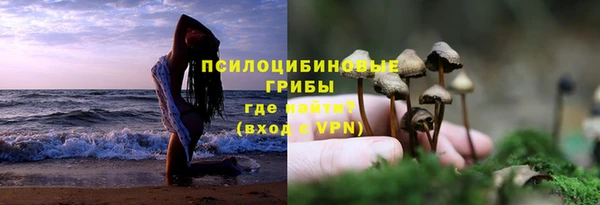 соль ск Алексеевка