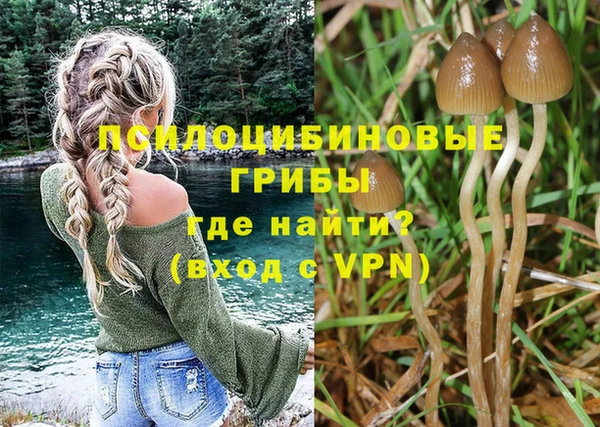 кокаин Алексин