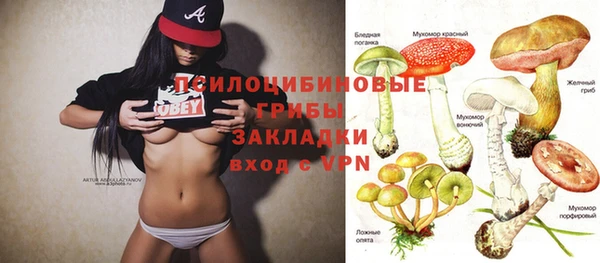 прущие крисы Алзамай