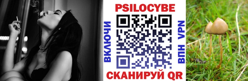 Псилоцибиновые грибы Psilocybine cubensis  где купить наркотик  Златоуст 